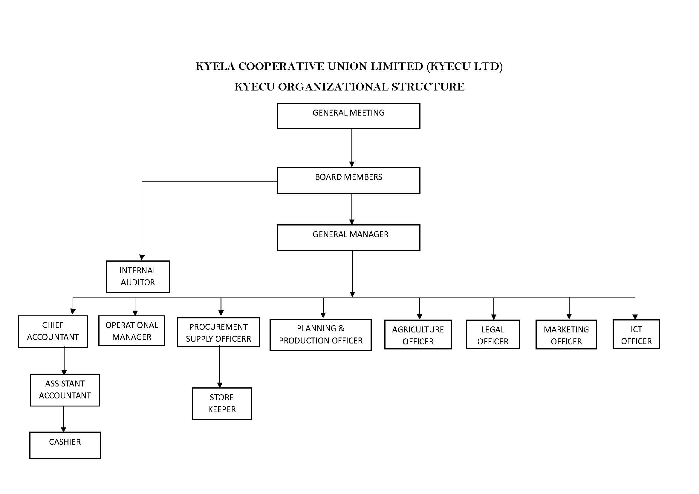 KYECU LIMITED ORGANIZATION STRUCTURE